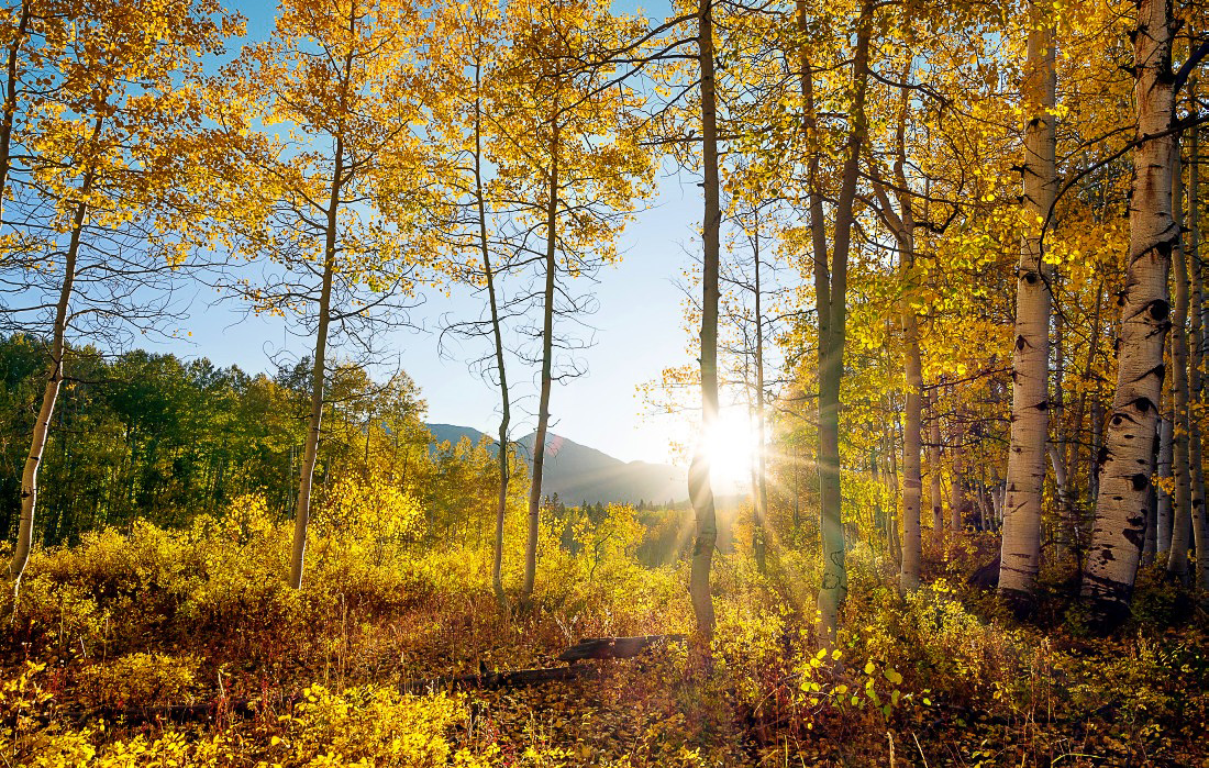 Осенняя пора в Колорадо (США)