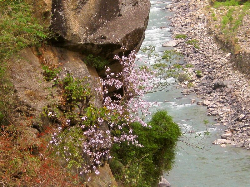 Río Ganges (India)