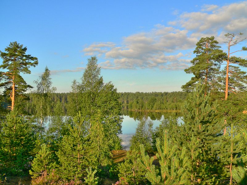 Karelische Landenge