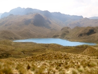 Cordillère des Andes