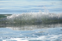 Waves