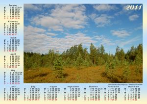 forest
